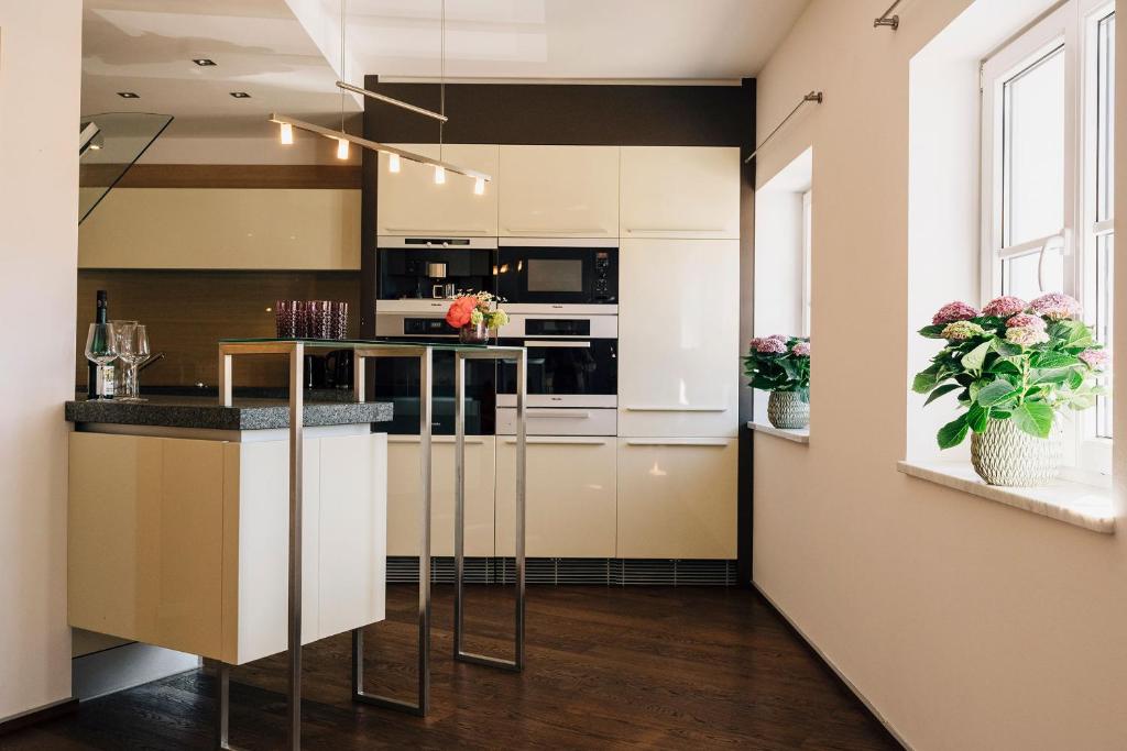 Kuchyňa alebo kuchynka v ubytovaní PRIVATE SUITES