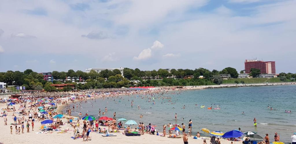 En strand i nærheden af lejligheden