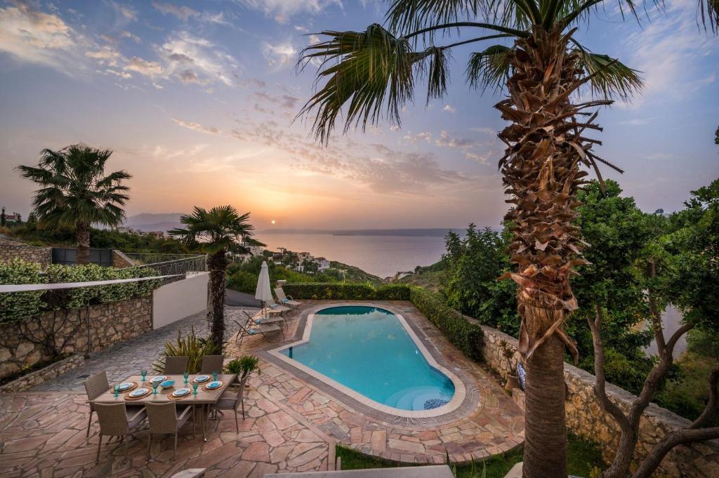 a villa with a swimming pool and a palm tree at Villa Nicolas Plaka With Sea View in Plaka