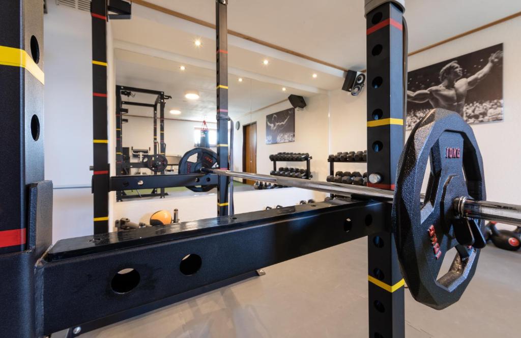 Fitness centrum a/nebo fitness zařízení v ubytování Alpenhof