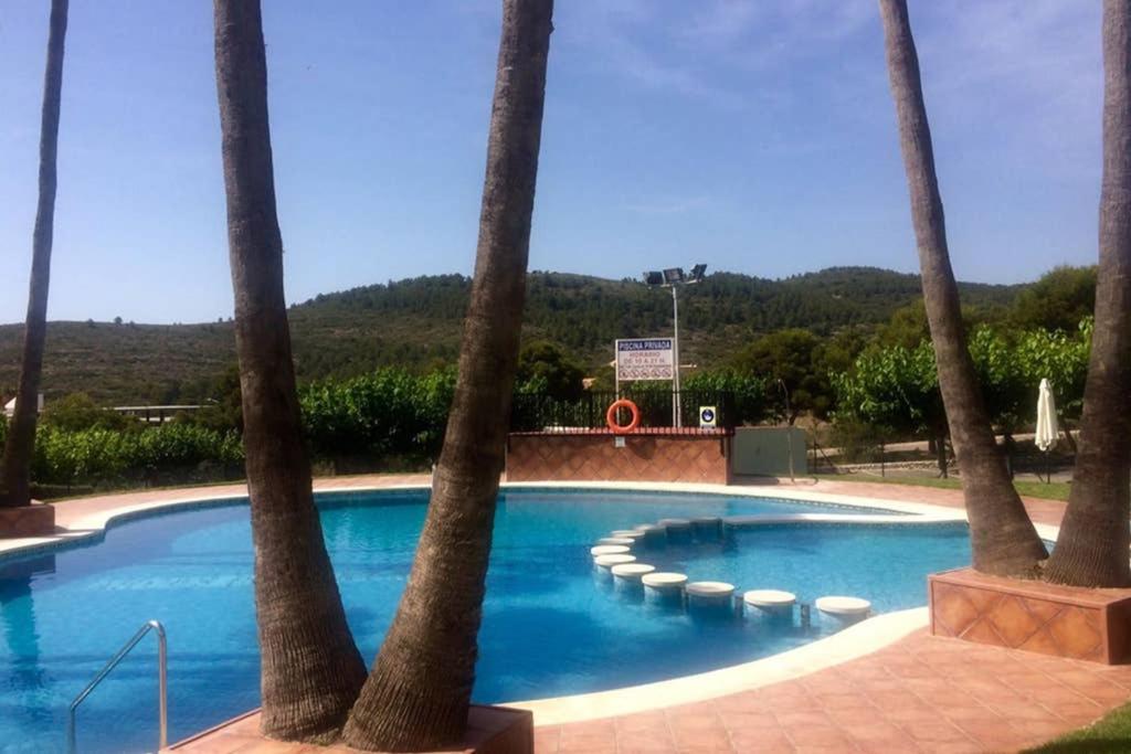una piscina rodeada de palmeras en Apartamento en Arcos de Font Nova (4-6), en Peñíscola