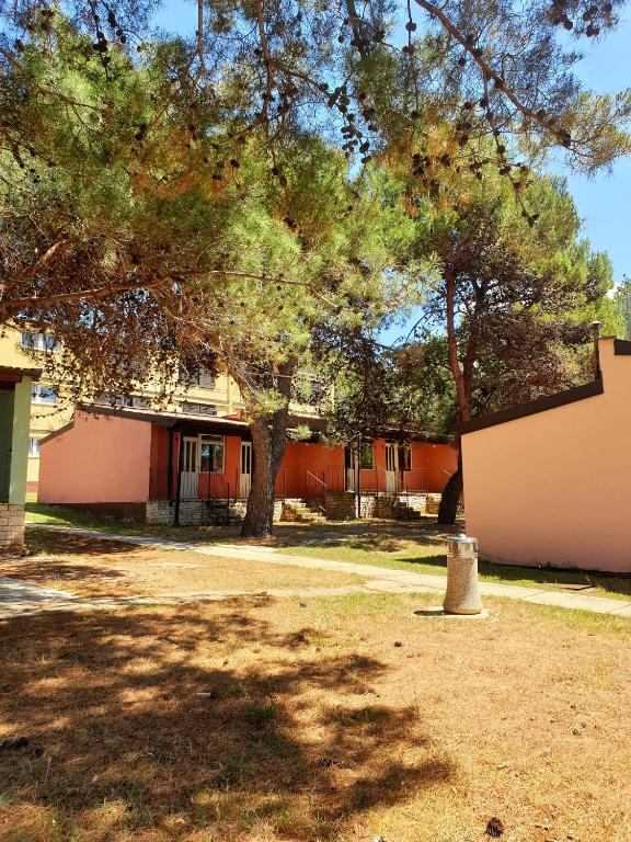 Zahrada ubytování Family Bungalow Pineta