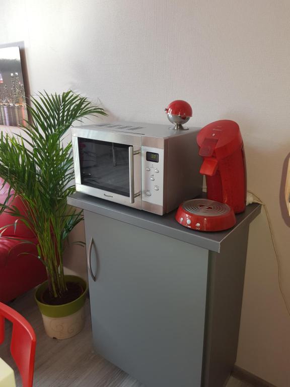 a microwave sitting on top of a counter next to a plant at L orée du Saint-Gangolphe in Lautenbach