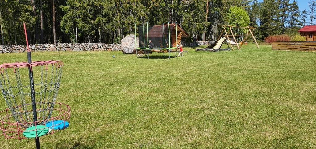 a group of children playing in a park at Männiste Holiday Home in Hiievälja