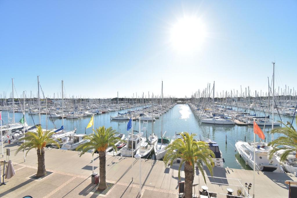 un port de plaisance regorgeant de bateaux et de palmiers dans l&#39;établissement Studio cabine vue port grand pavois M, au Grau-du-Roi