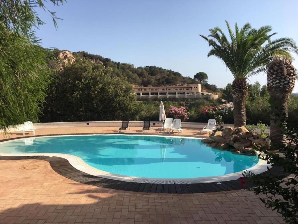 a large swimming pool with palm trees and a building at Residence Gli Oleandri 140 - Costa Smeralda - Porto Cervo in Liscia di Vacca