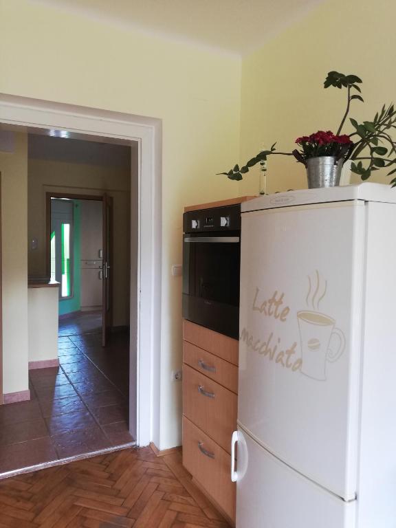 Kuchyň nebo kuchyňský kout v ubytování Apartments Mas
