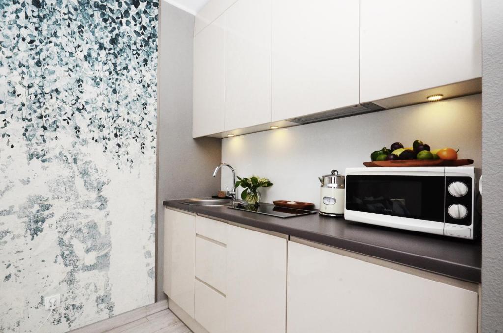 Kuchyňa alebo kuchynka v ubytovaní Apartamenty Biała Sowa Czarna Góra