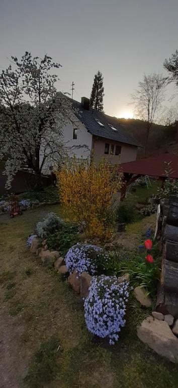 Zahrada ubytování Gästehaus Gerhardt