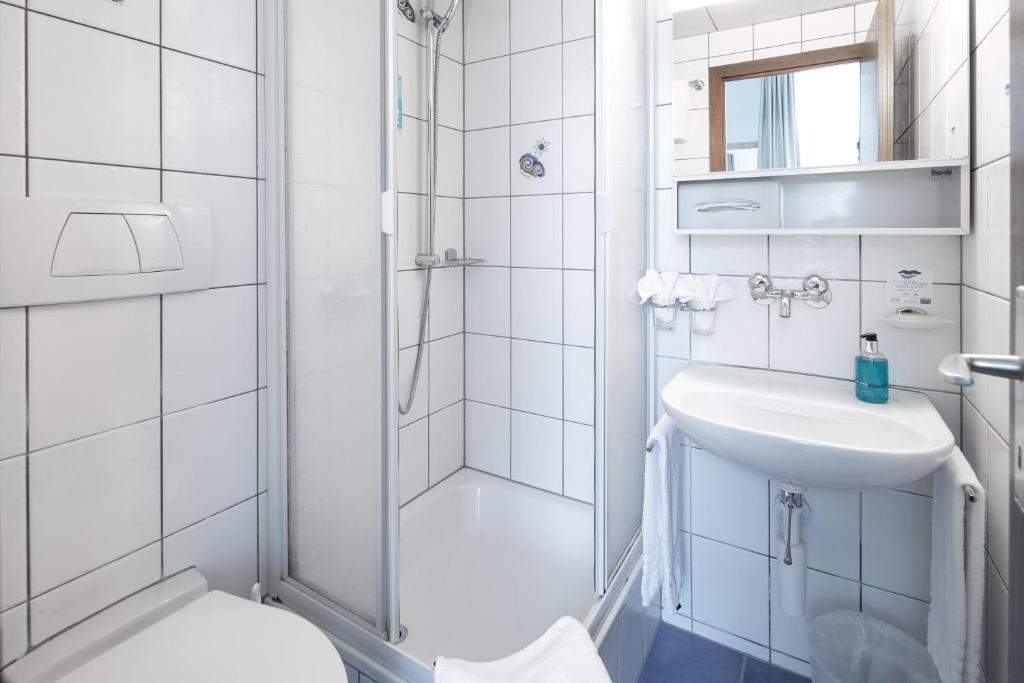 Hotel Lötschberg - Resim 7