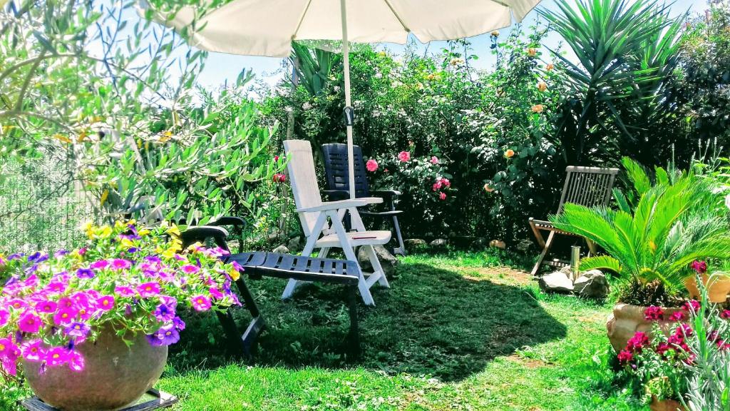 A garden outside Antico Casale Fabrizi