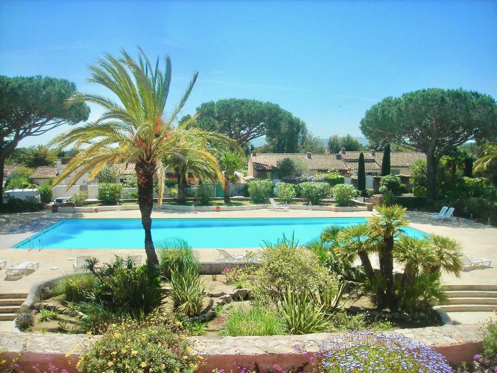 una piscina con una palmera en un jardín en Villarama en Saint-Tropez