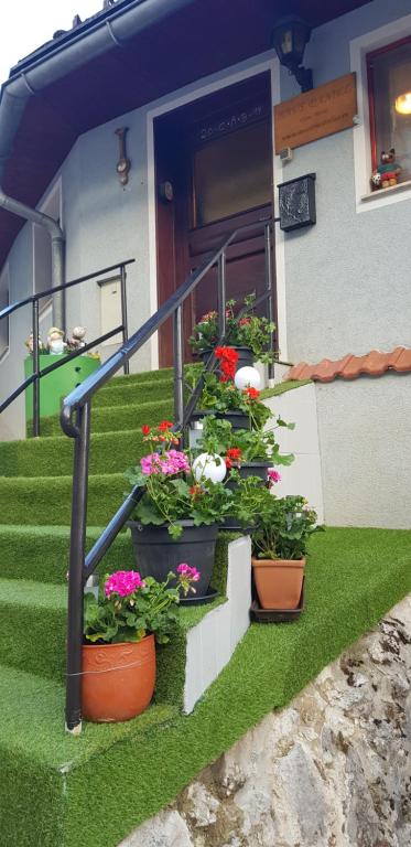 Zahrada ubytování Haus Daniel Mariazell