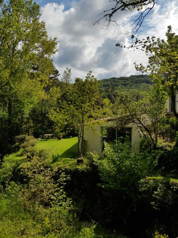 uma casa no meio de um campo com árvores em Beautiful studio surrounded by nature em Lanet