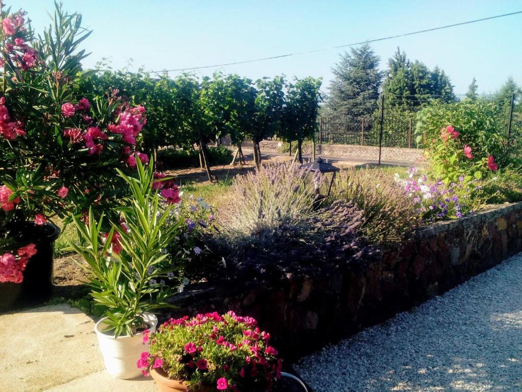 A garden outside Mogyorósi Apartman