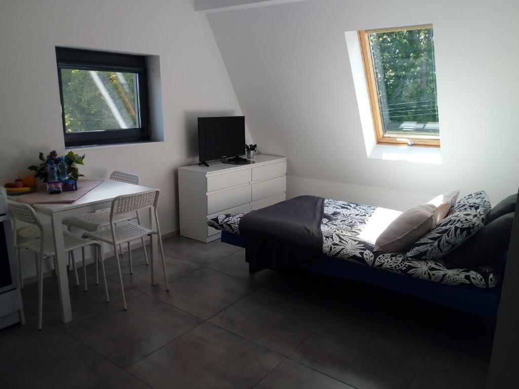 Televízia a/alebo spoločenská miestnosť v ubytovaní Villa Centrum