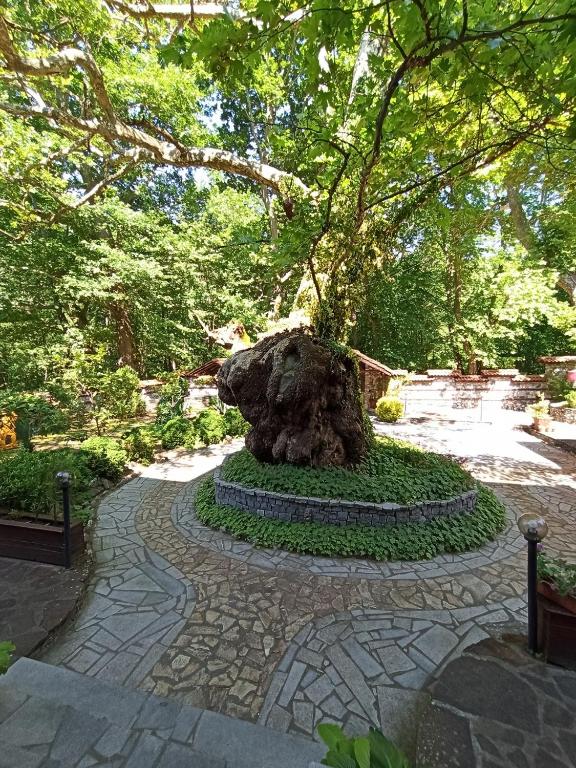 a tree in a park with a stone path at Семеен Хотел Хайдутите in Sandanski