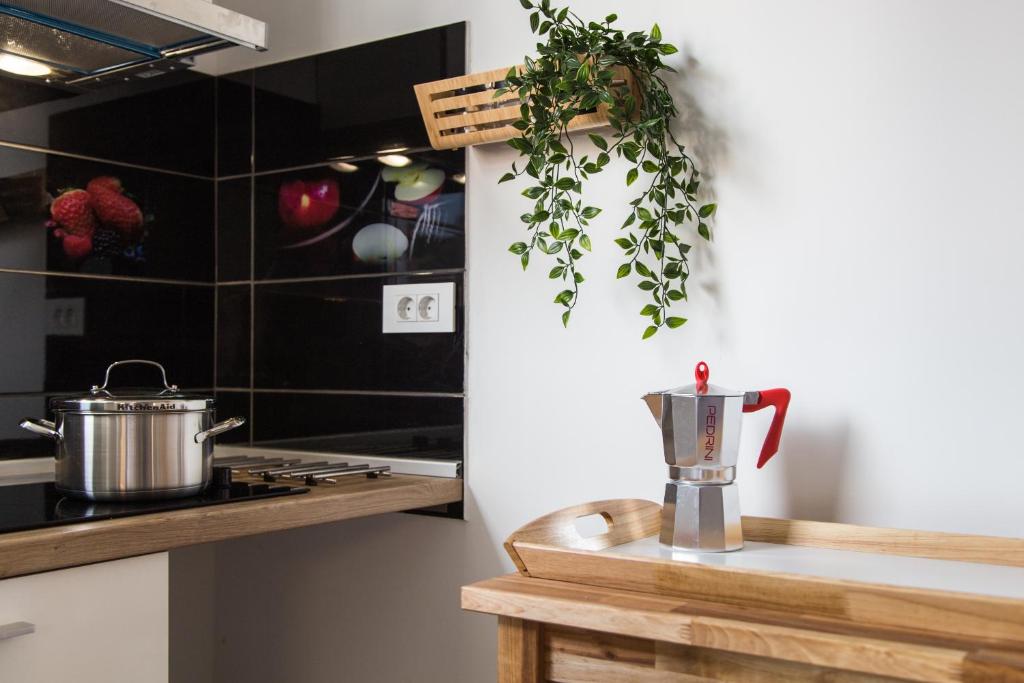 Kuchyňa alebo kuchynka v ubytovaní Apartment Gordon