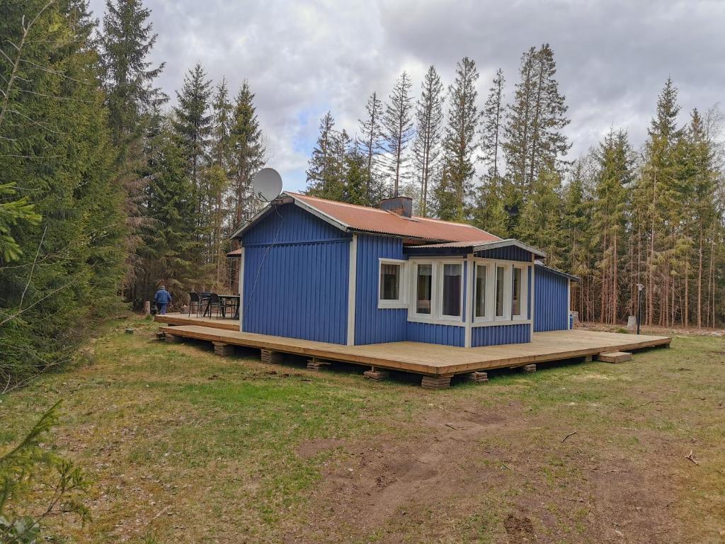 a blue house on a deck in a field at Hyltenäs am Kalvsee in Kalv