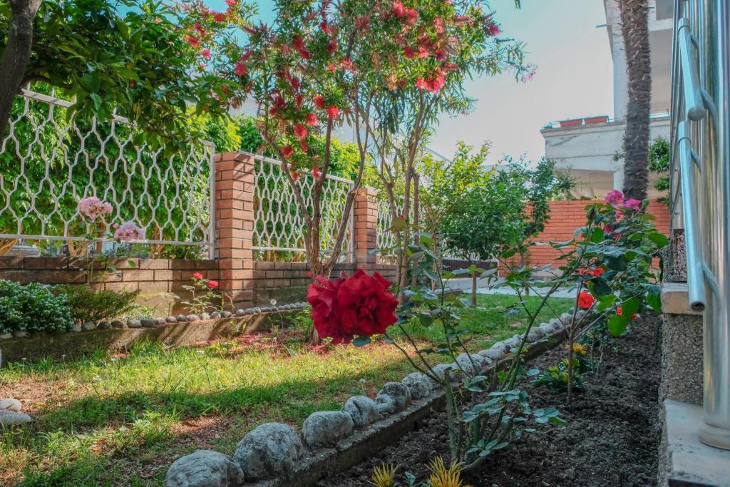 حديقة خارج Vila Adriatik
