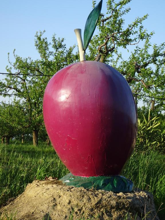 Fotografie z fotogalerie ubytování Gîte de Beausoleil v destinaci La Romieu