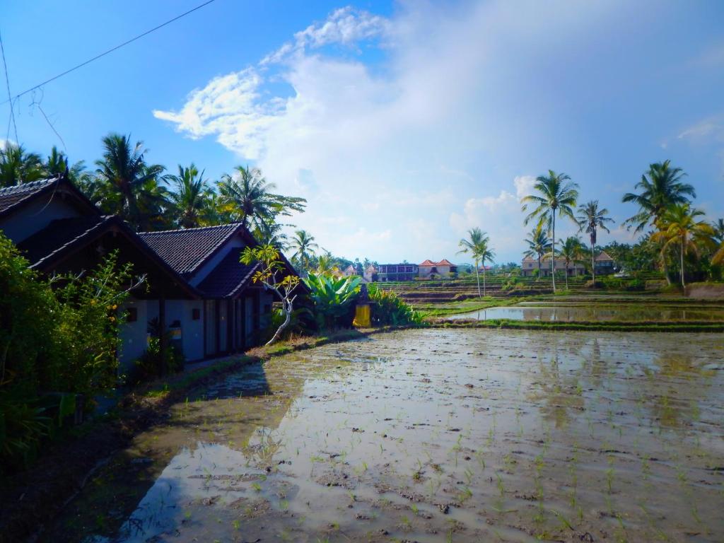 Amaya Cottage Ubud