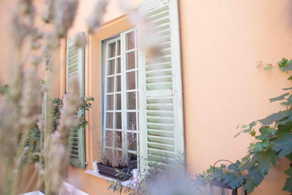 Zahrada ubytování Hotel Rossetti