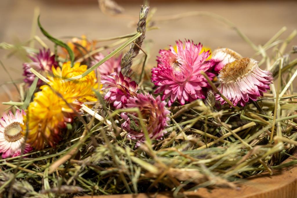 "Innsbruck Moments" Kasperhof Appartements - 8