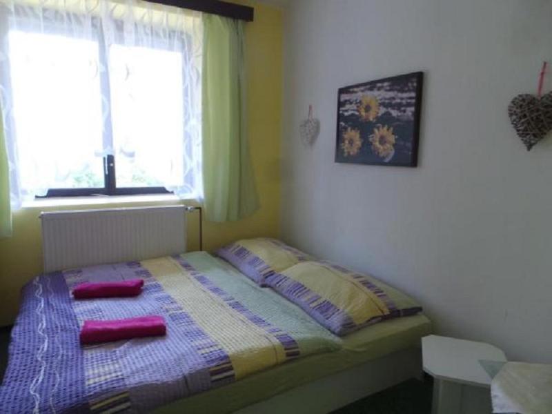 Postel nebo postele na pokoji v ubytování Penzion Tomy1