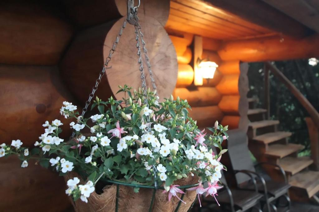 Fotografie z fotogalerie ubytování Excellent log house with a sauna in Lahemaa! v destinaci Hara