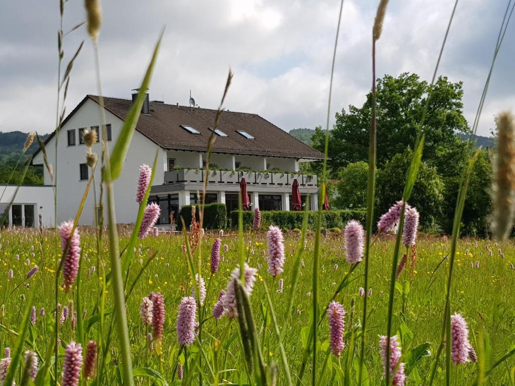 Zahrada ubytování MUT.HAUS