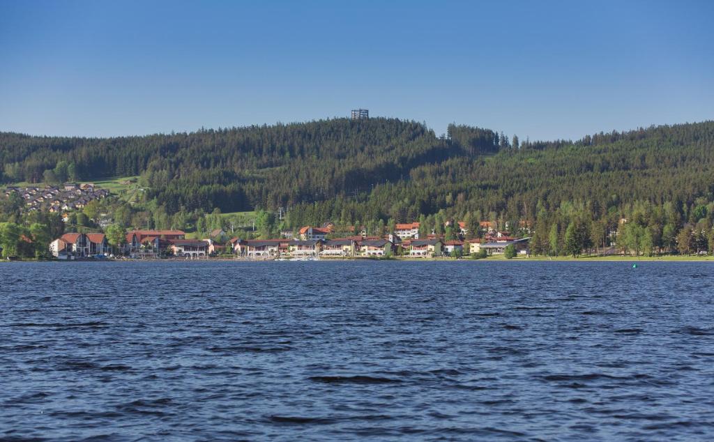 Příroda nedaleko apartmánu