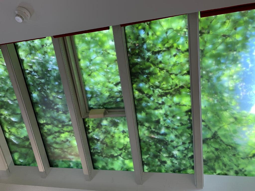 Hotel B54 Heidelberg City - Resim 45