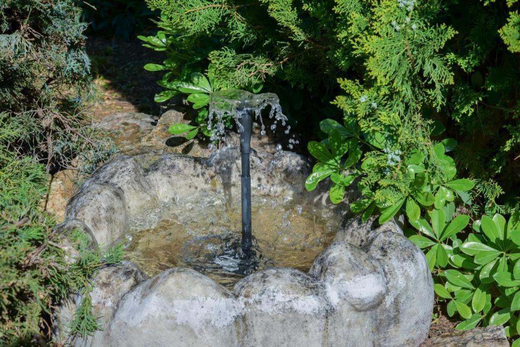 Zahrada ubytování Villa Eva Halkidiki