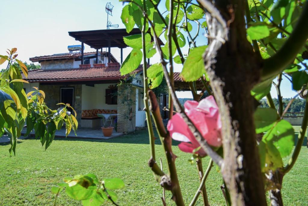 Zahrada ubytování Villa Eva Halkidiki