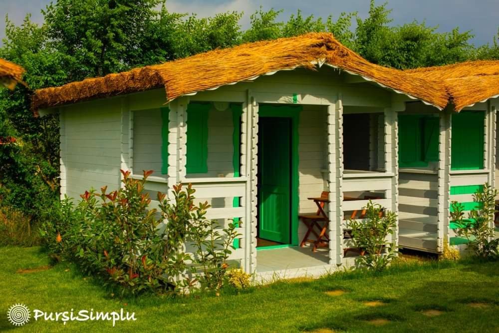 Cabaña pequeña con techo de paja en PursiSimplu ADULTS ONLY, en Vama Veche