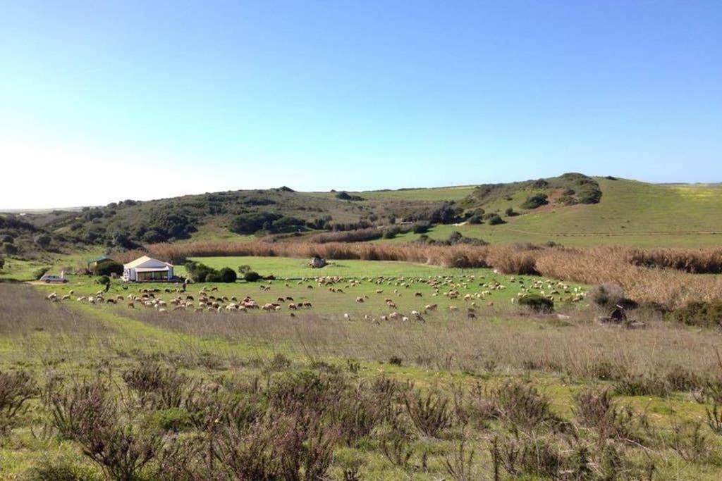 Gallery image of Glamorous Cabin on a Farm in Vila do Bispo