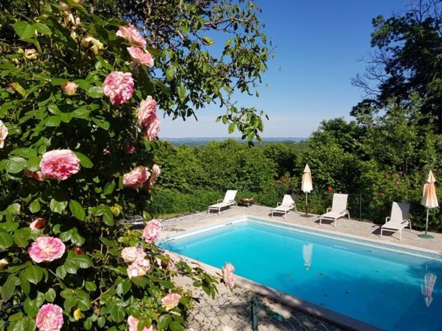 a swimming pool with lounge chairs and pink roses at la gazouillerie - pleine nature in Lauresses