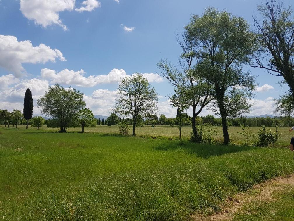 Príroda v okolí apartmánu