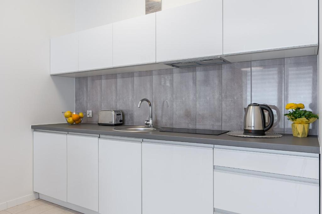 Kuchyňa alebo kuchynka v ubytovaní Grobla by Loft Apartments