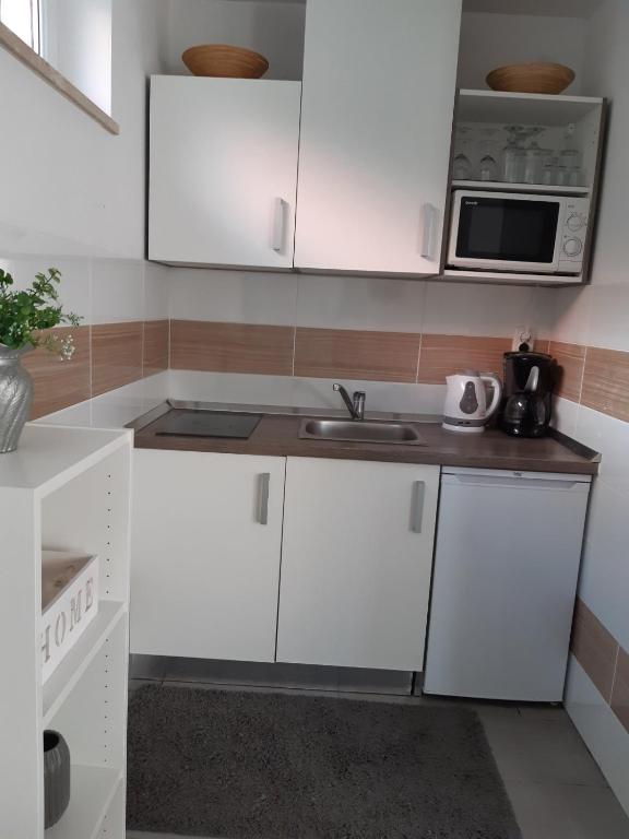 Kuchyň nebo kuchyňský kout v ubytování Guest House Sonja