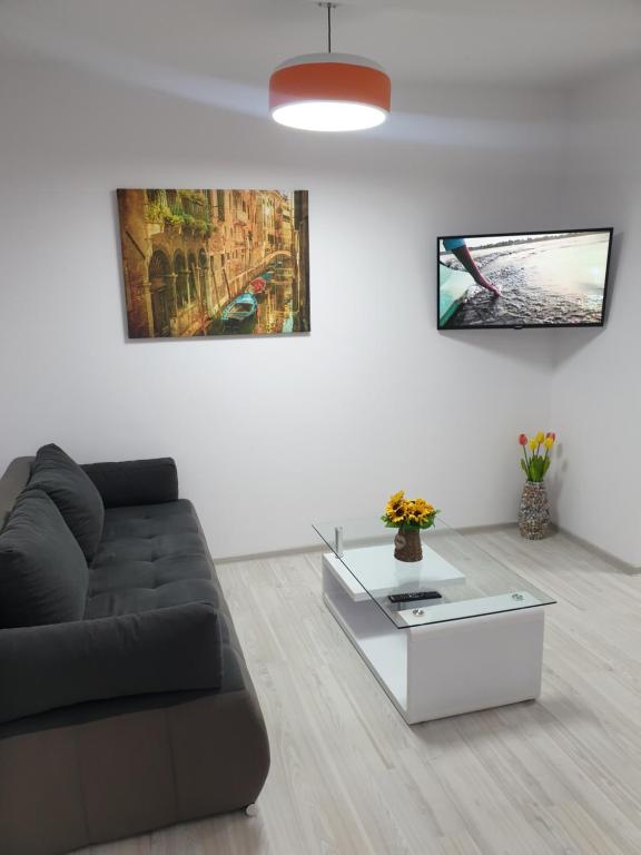 uma sala de estar com um sofá e uma mesa de centro em Topaz Central Apartment em Bacau