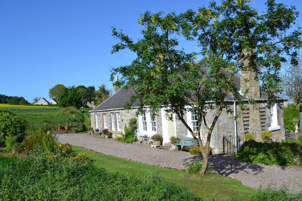 uma casa branca com uma árvore em frente em Balmungo Cottage B&B em St. Andrews