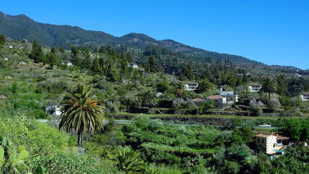 a village with a palm tree and a mountain at BUENAVIDA in Breña Baja