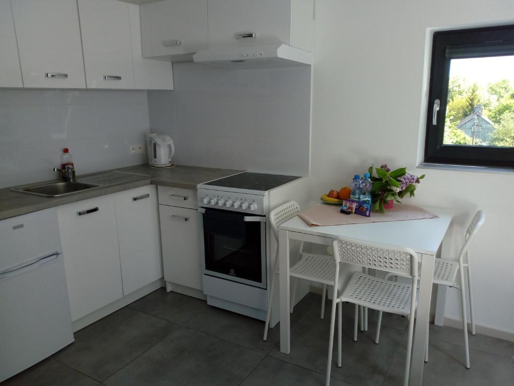 Kuchyňa alebo kuchynka v ubytovaní Villa Centrum