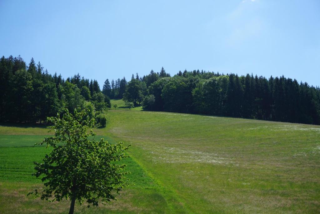 Příroda nedaleko aparthotelu