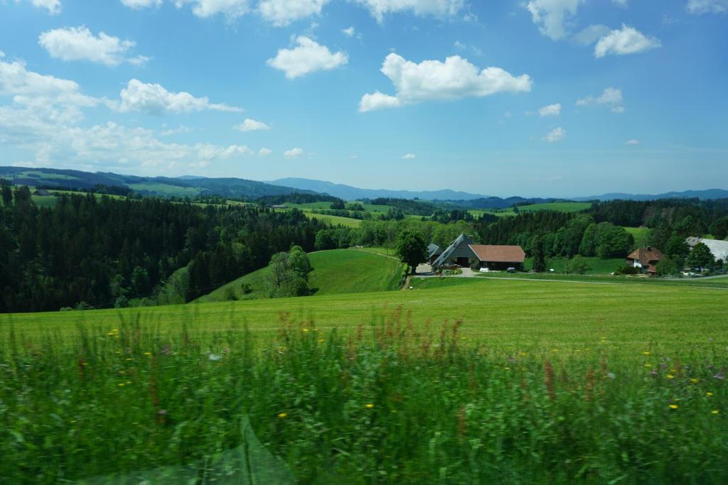 Příroda nedaleko aparthotelu