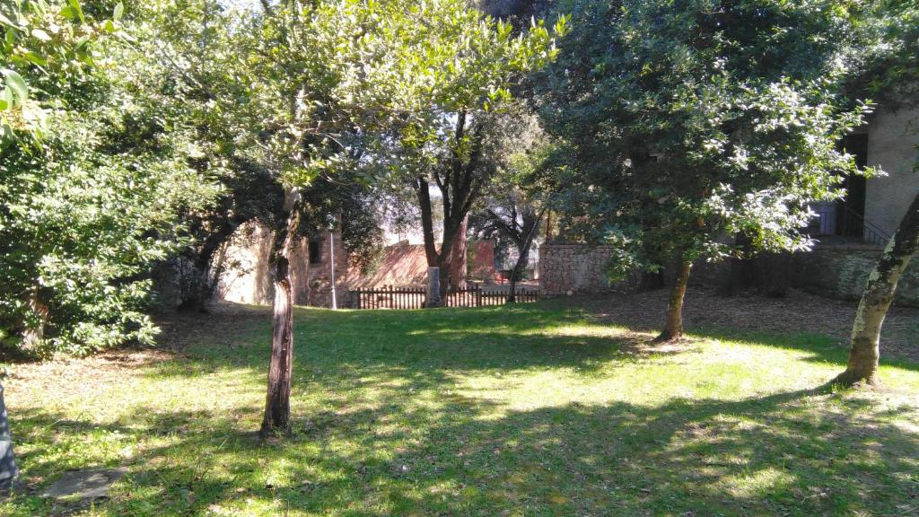 Zahrada ubytování B&B Borgo di Oliveto - Appartamenti con Cucina