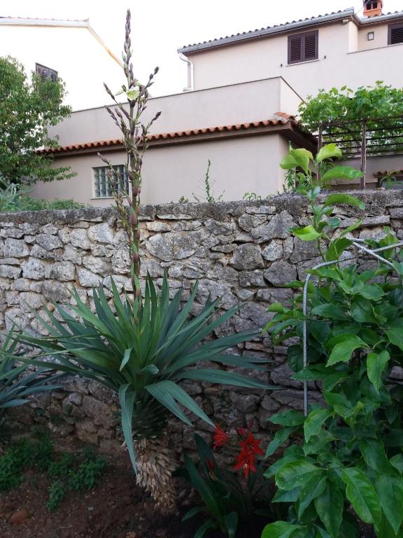 Ogród w obiekcie House Mergi 2