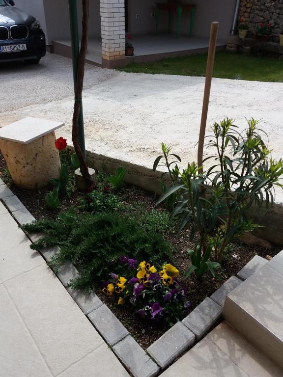 Ogród w obiekcie House Mergi 2